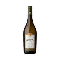 Imagem de Morgado de Bucelas - Vinho Branco