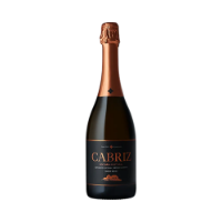 Imagem de Cabriz Meio Seco - Vinho Espumante