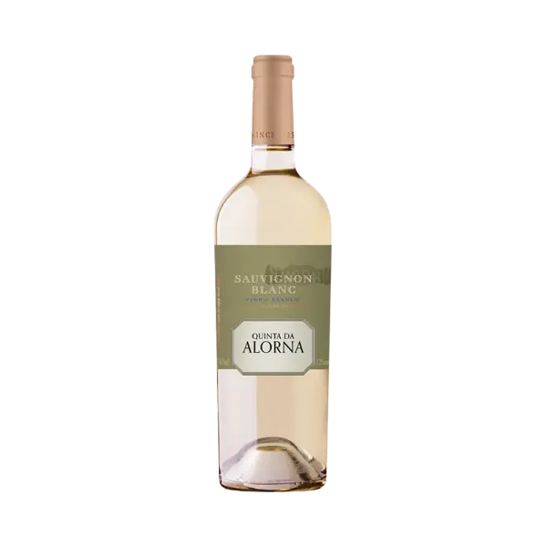 Imagem de Quinta da Alorna Sauvignon Blanc - Vinho Branco