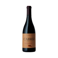 Imagem de Cabriz Touriga Nacional - Vinho Tinto