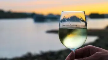 História e Características do Vinho Branco