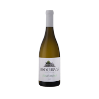 Imagem de 1000 Curvas Blend Original - Vinho Branco