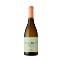 Imagem de Cabriz Reserva - Vinho Branco