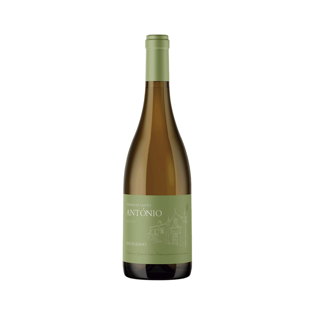 Imagem de Terras de Santo António Encruzado - Vinho Branco