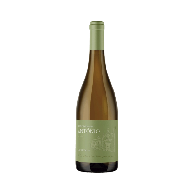 Imagem de Terras de Santo António Encruzado - Vinho Branco