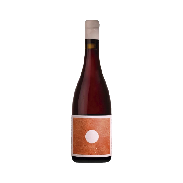 Imagem de Morgado do Quintão Ânfora - Vinho Tinto