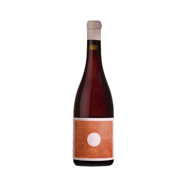 Imagem de Morgado do Quintão Ânfora - Vinho Tinto