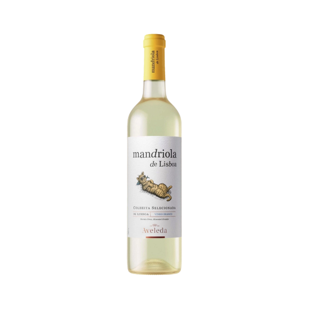 Imagem de Mandriola de Lisboa - Vinho Branco