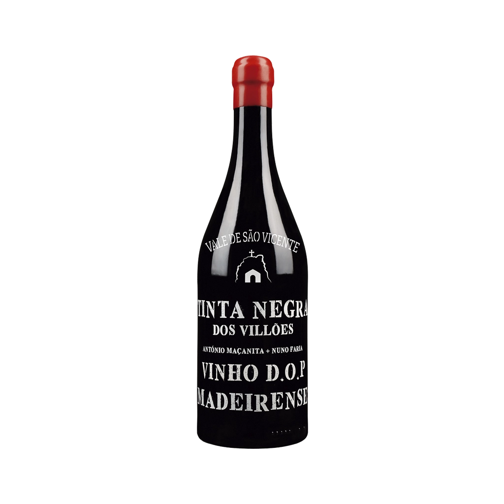Imagem de Tinta Negra Vale de São Vicente - Vinho Tinto