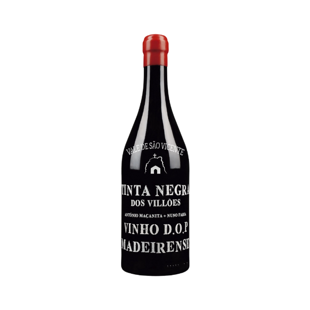 Imagem de Tinta Negra Vale de São Vicente - Vinho Tinto