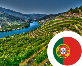 Imagem para a categoria Vinho de Portugal