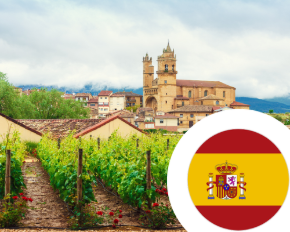 Imagem para a categoria Vinho de Espanha