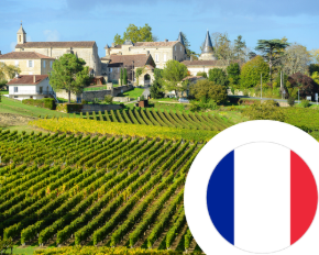 Imagem para a categoria Vinho de França