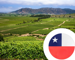 Imagem para a categoria Vinho do Chile