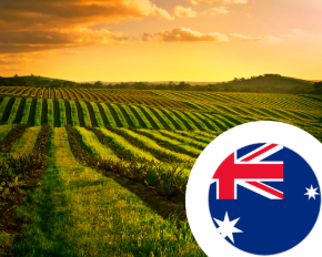 Imagem para a categoria Vinho da Austrália