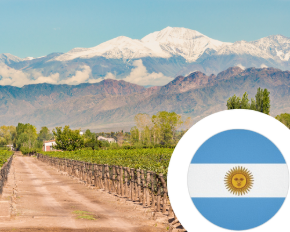 Imagem para a categoria Vinho da Argentina