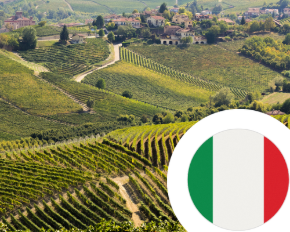Imagem para a categoria Vinho de Itália