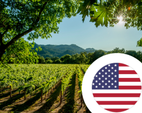 Imagem para a categoria Vinho dos Estados Unidos