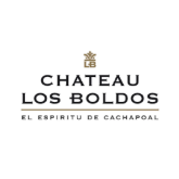 Imagem para a categoria Château Los Boldos