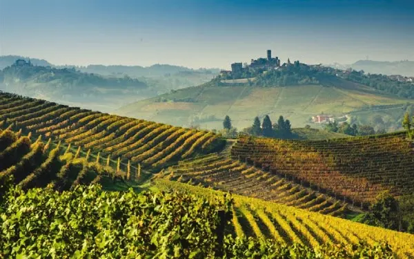 Vinhos de Itália