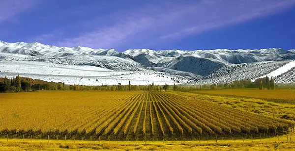 Vinhos da Argentina