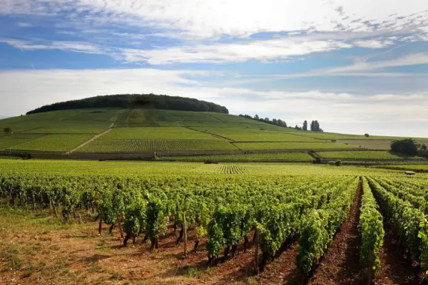 vinhos de frança