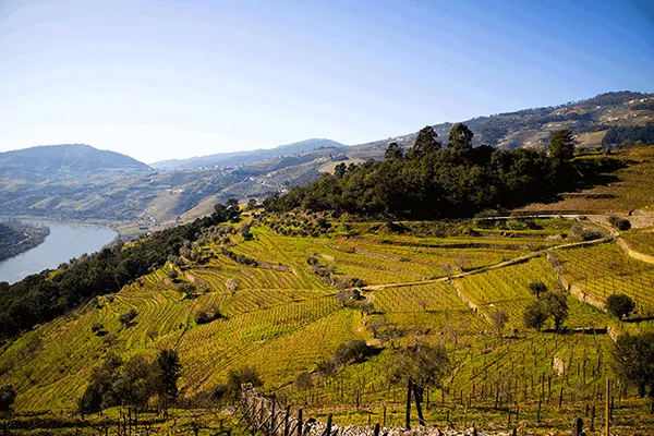 Região Porto e Douro