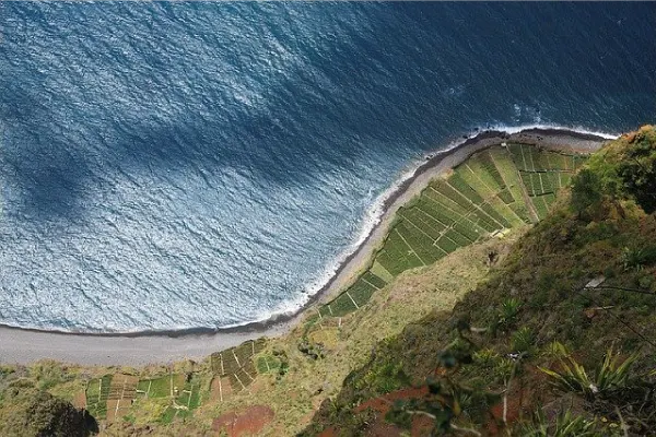 Vinho da Madeira