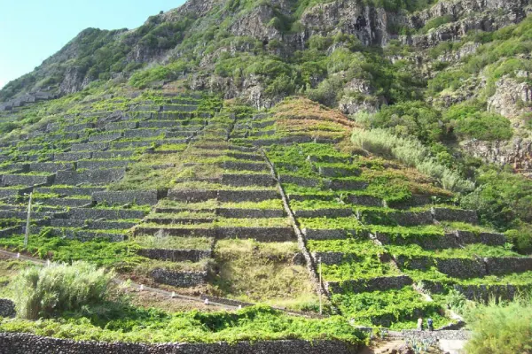 Região vitinicula dos Açores