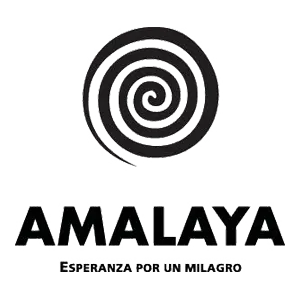 Bodega Amalaya